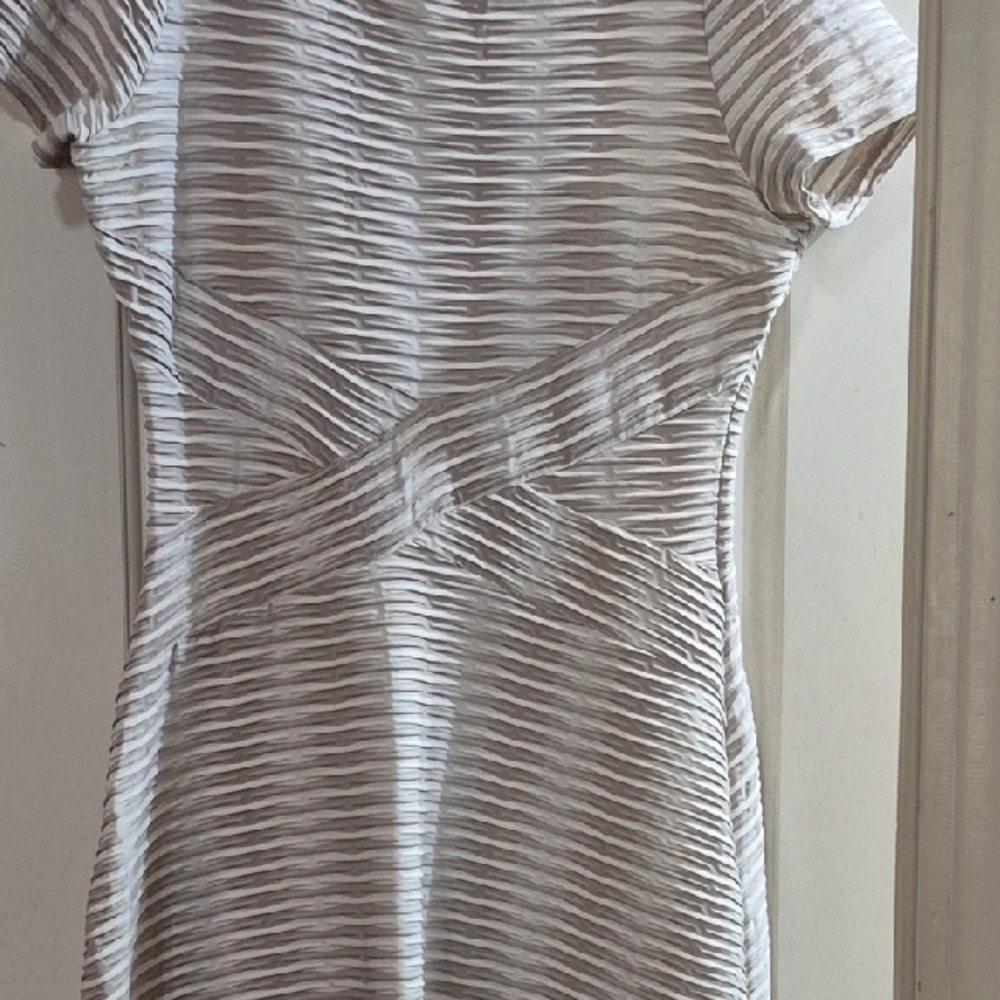 Beige by eci Cream and Gray Striped Mini Dress Never Worn